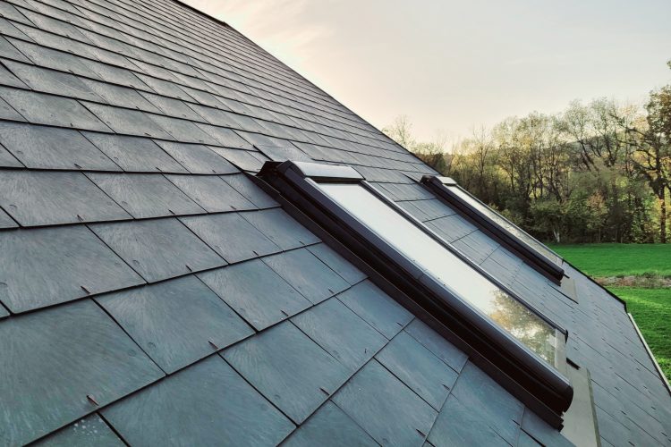 Roofing Market Trends: Why Ekoternit Is on the Rise